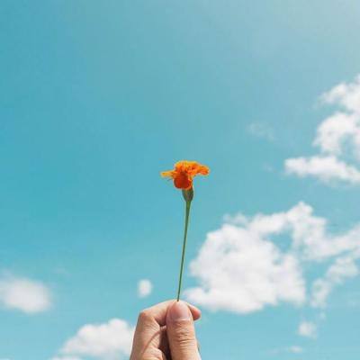 少年封印师飞升版下载